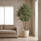 Tall artificial olive tree beside a linen sofa in a large living room