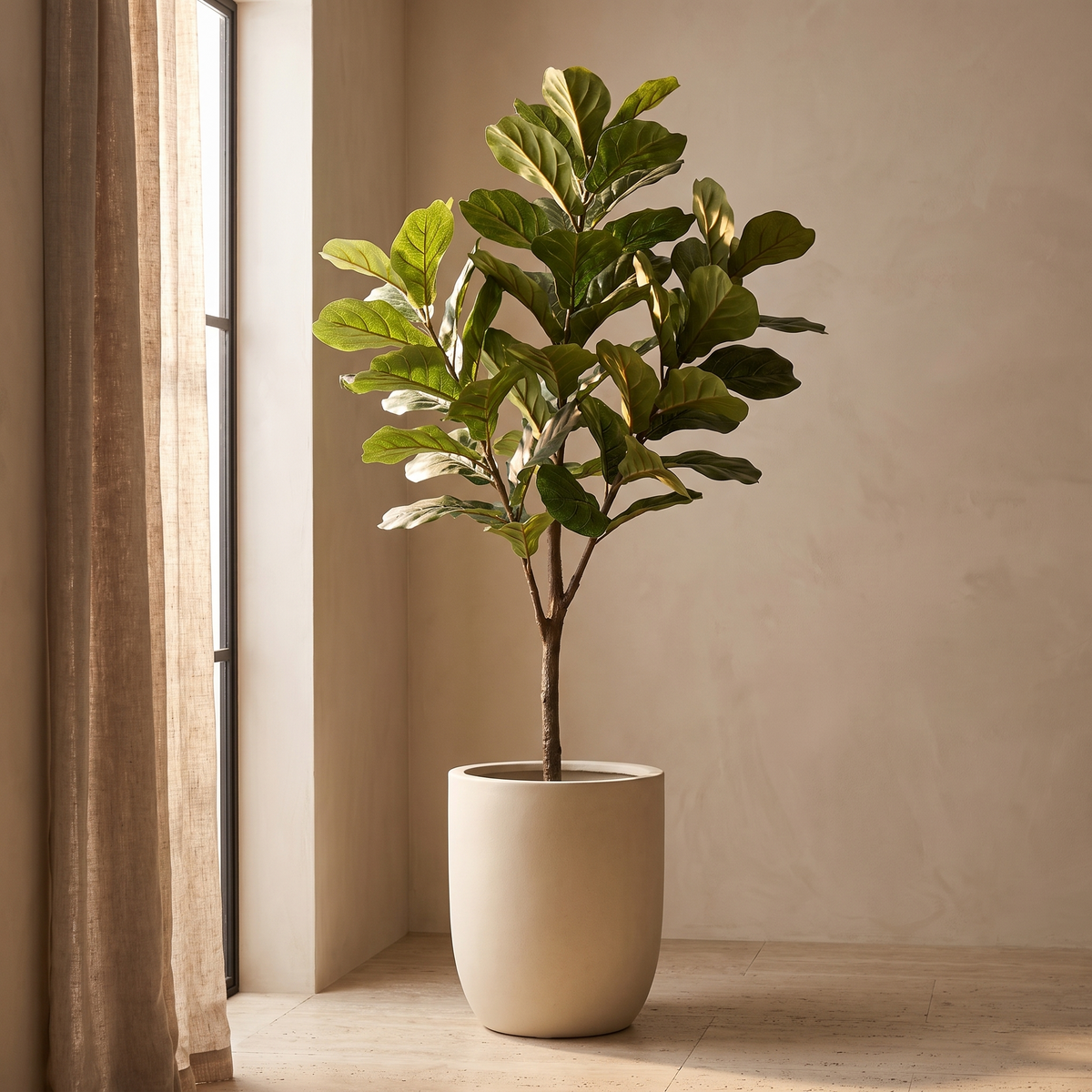 Artificial fiddle leaf fig beside a window with a linen curtain