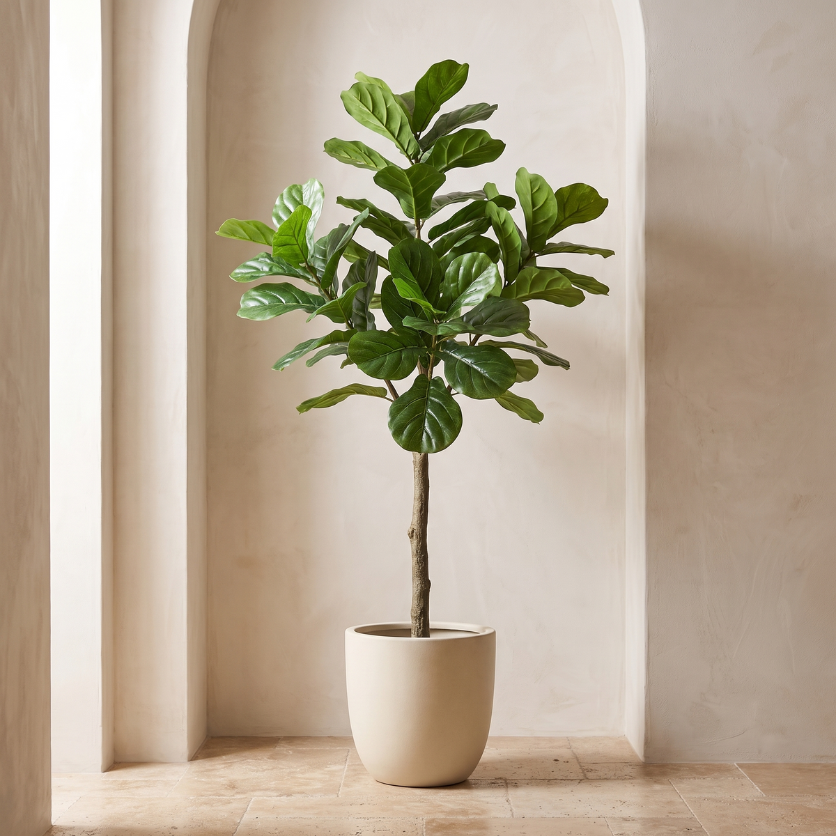 Artificial fiddle leaf fig standing in a plaster walled alcove