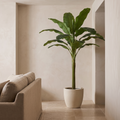 Artificial banana tree in a bright living room with a travertine floor