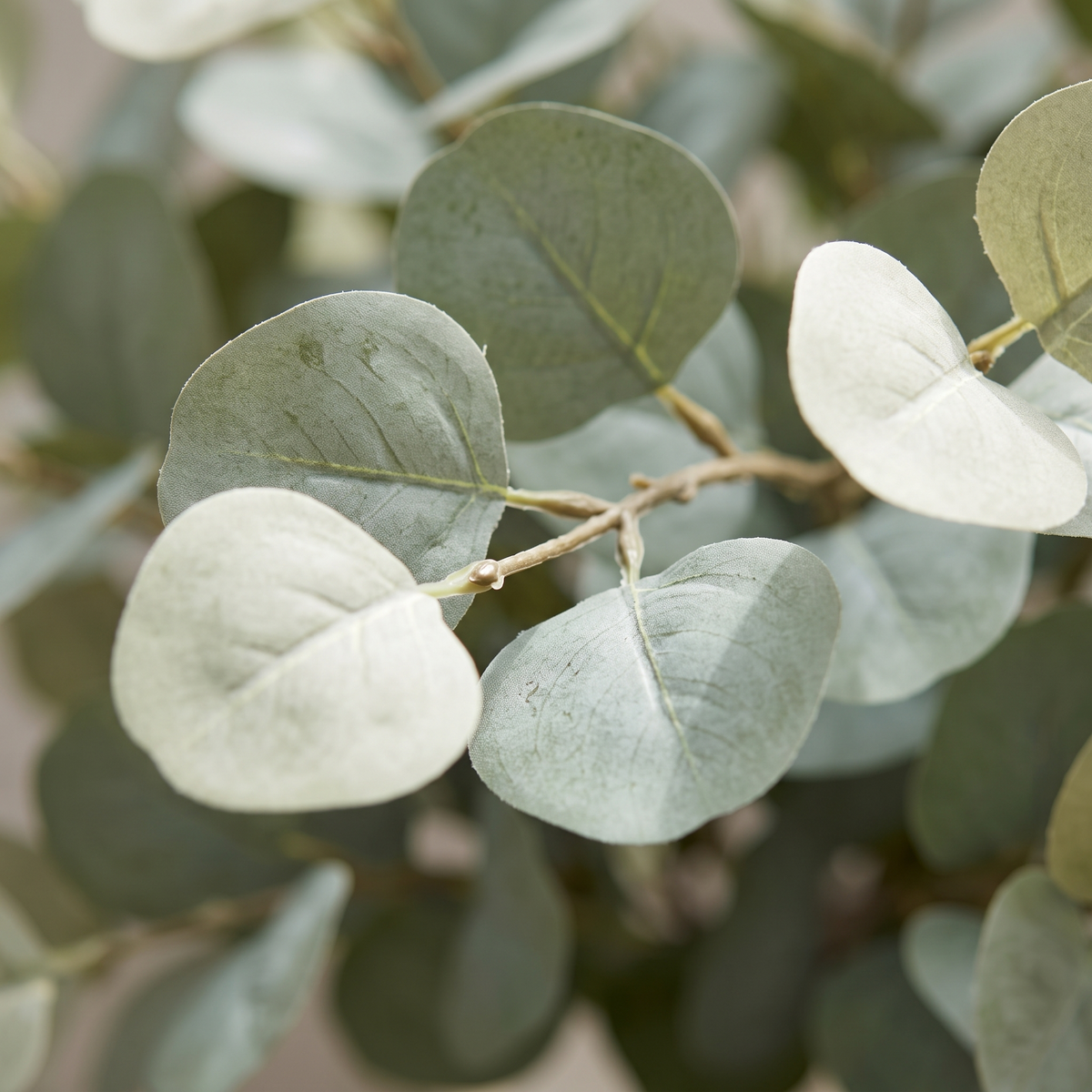 Close detail of artificial eucalyptus foliage in sage and bone