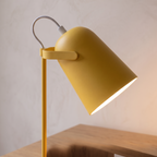 Close detail of the desk lamp adjustable joint and light head