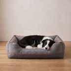 Border collie resting on the Atelieree Halston bolster dog bed
