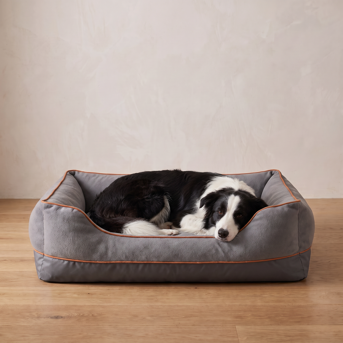 Border collie resting on the Atelieree Halston bolster dog bed