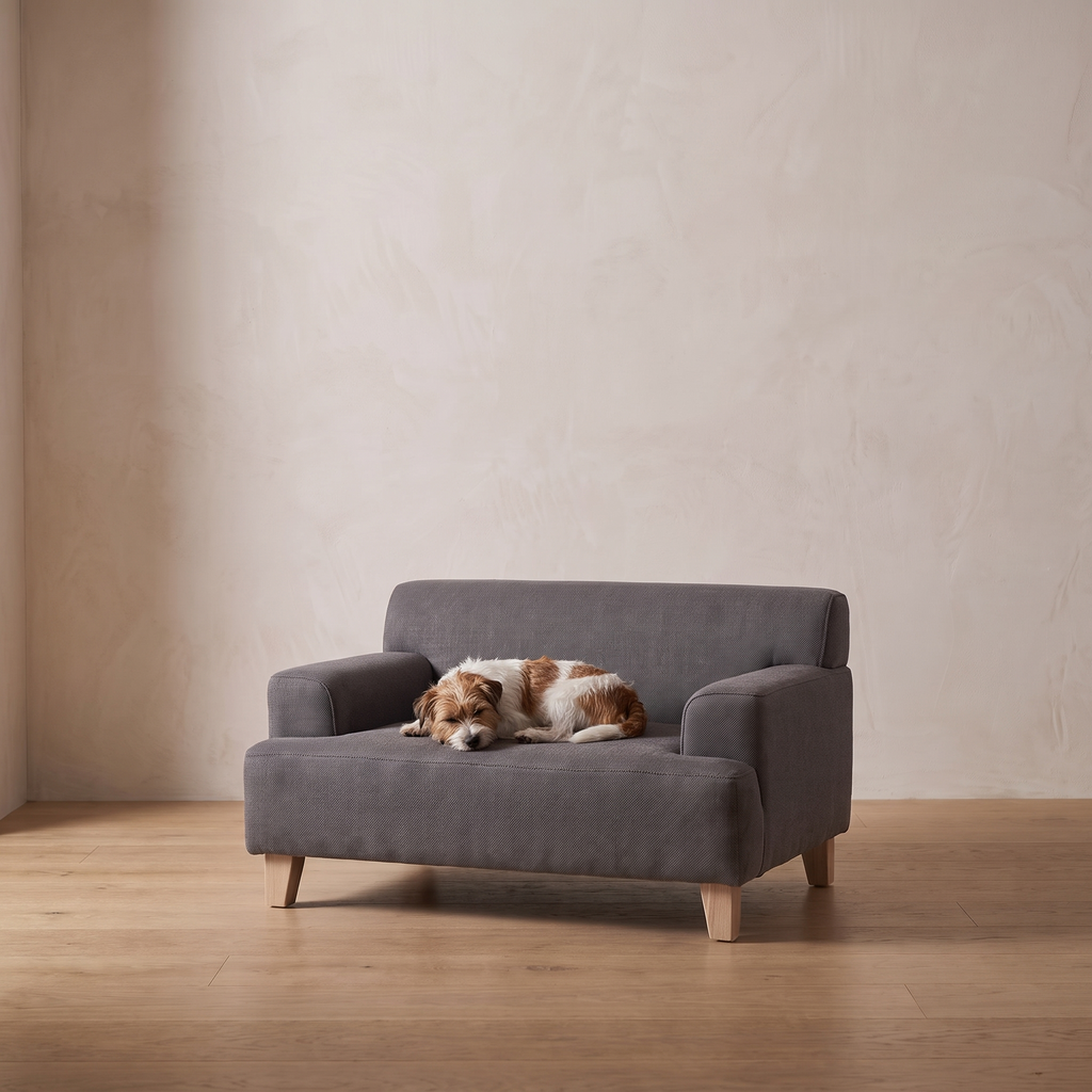 Small terrier curled asleep on the Atelieree Linnea pet sofa