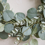 Close detail of the silver dollar eucalyptus leaves and wired stem
